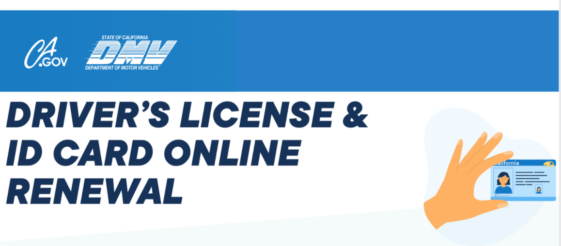 dmv online license renewal