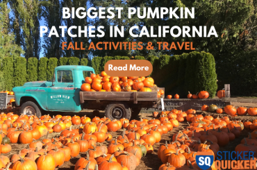 Biggest Pumpkin Patches in California