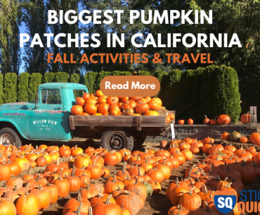 Biggest Pumpkin Patches in California