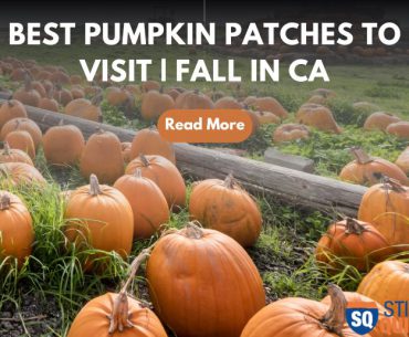 Best Pumpkin Patches to Visit - Fall in CA